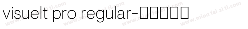 visuelt pro regular字体转换